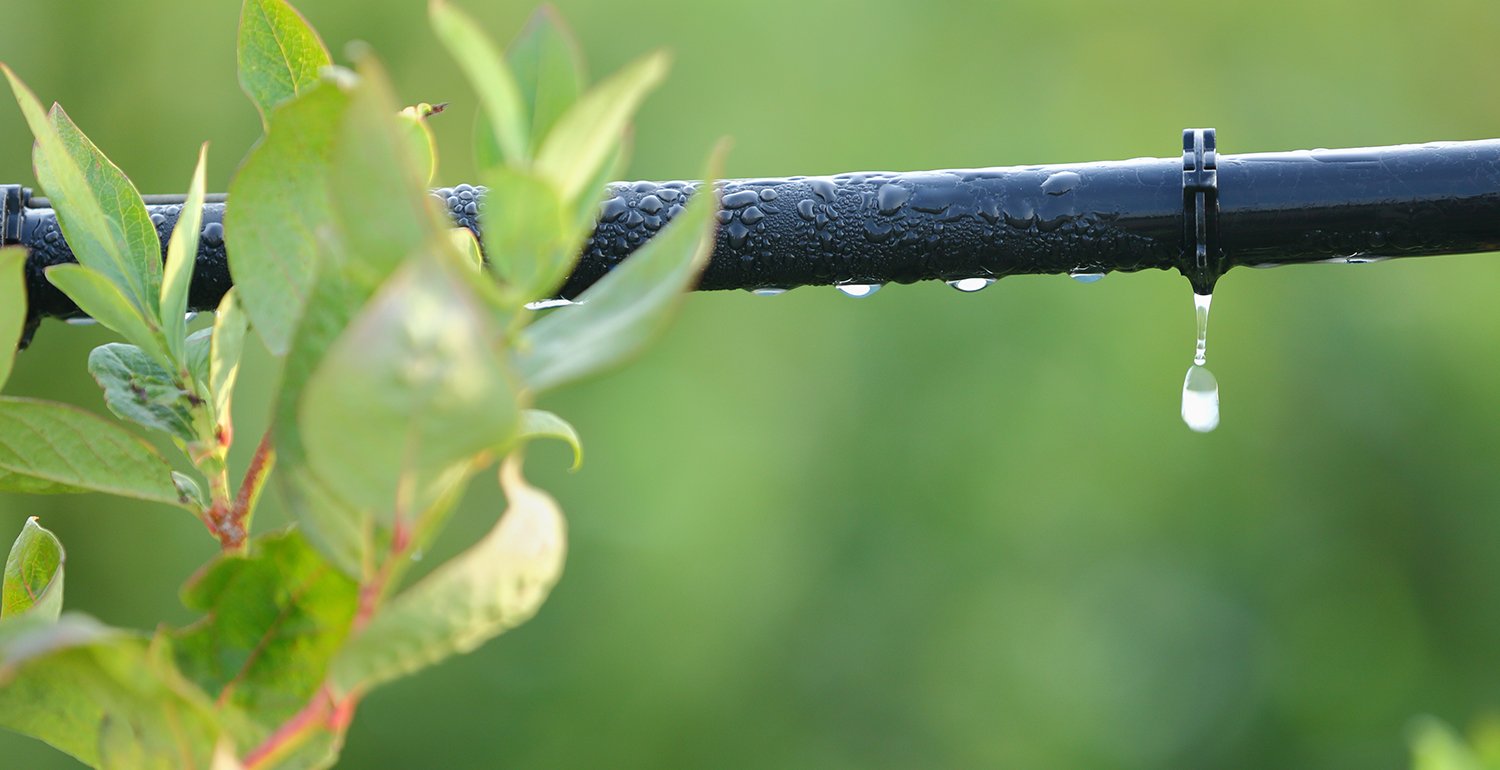 Irrigazione