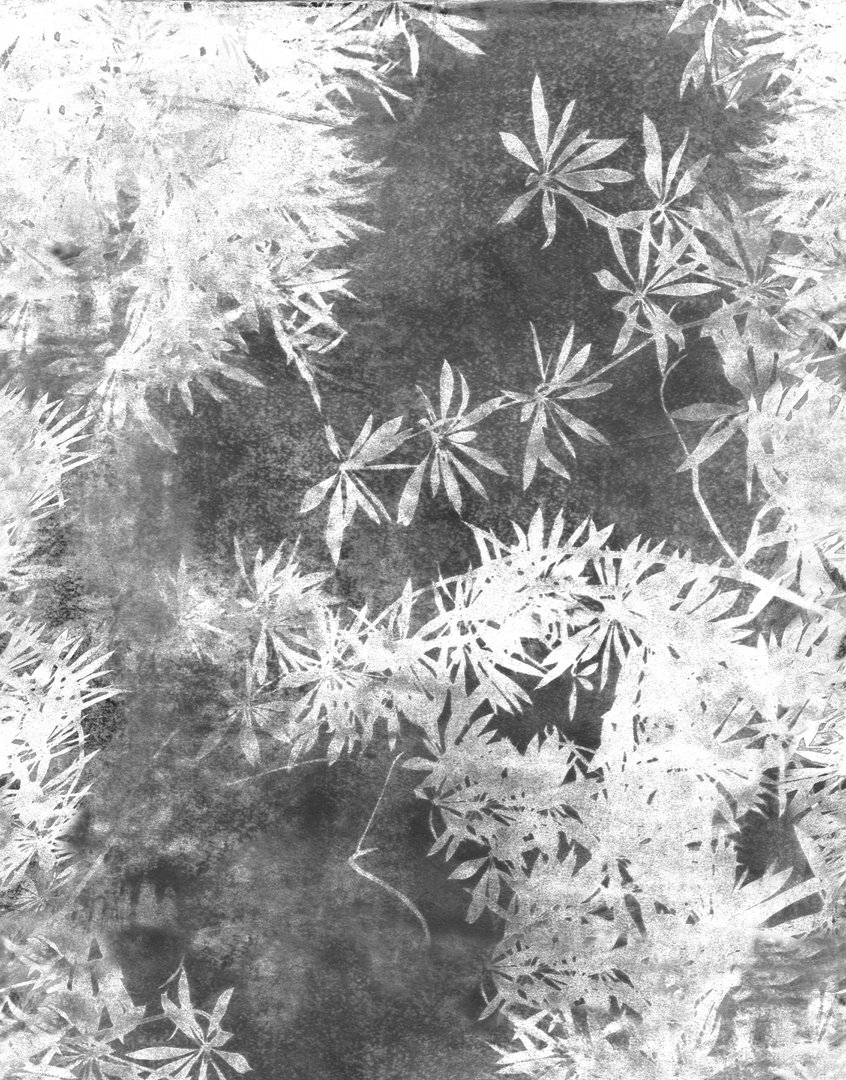 Wall&decò, Viride Carta da parati