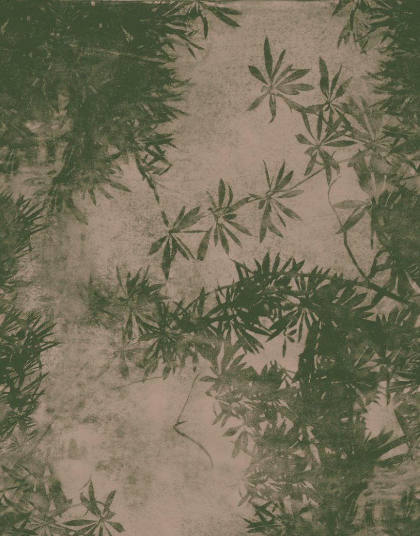 Wall&decò, Viride Carta da parati